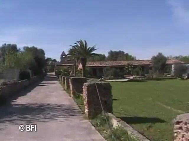 Amazing asses and pussies: Mallorca