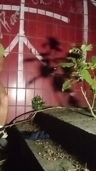 通りの見知らぬ人に乳を吸う