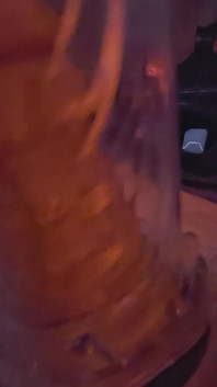 Buzz Plays with 12.in Cock Pump