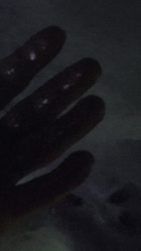 Horror porn 17: Aranha feminina