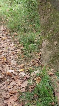 Exhib nature turns into a hot threesome