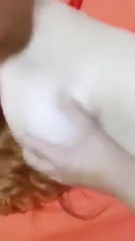 Her açıdan bakış açısıyla sikiş - hd olarak inliyor ve götü