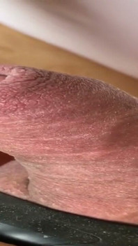 My Cock