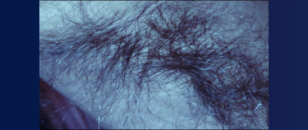 Stink HairyMale: Belly, Armpits and Cock