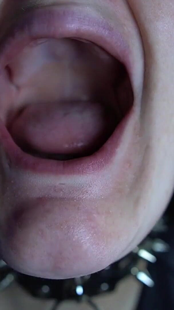 Updated Mouth Tour (Jerk Off Material Studios)