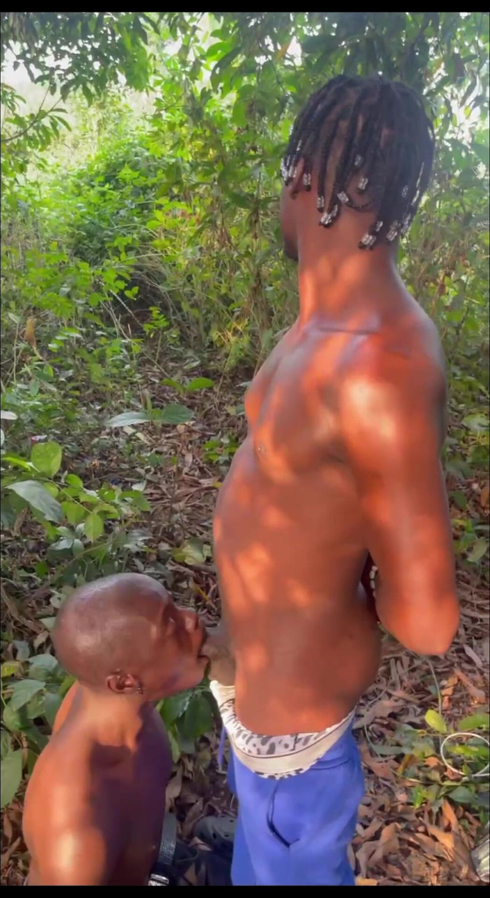 Kelly studio: Můj chlapec z Calaby