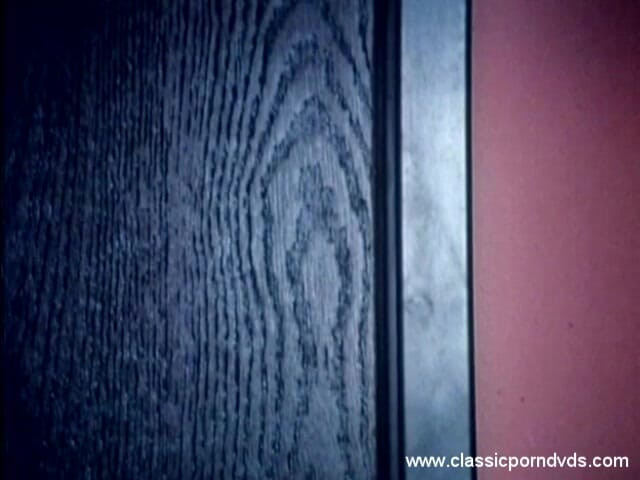 Classic Porn DVDs: Dvds pornô clássicos: O Fant privado de Marilyn Chambers