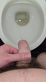 Eu Faço Xixi Em Pé No Banheiro Logo Depois De Chegar Em Casa Do Trabalho