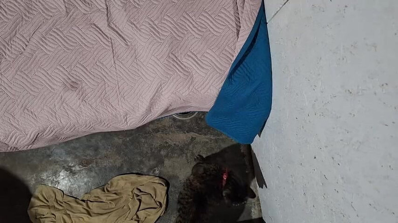 Natasha Caseros: Mi erstes heimvideo mit meiner stiefschwester! Ich bin in sie...