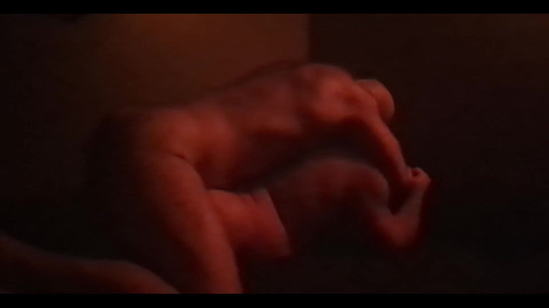 Bare Ranger: Gösterimizden sonra olan eğlence