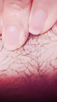 Macro Perspective: Extreme Close-up with Micro Camera