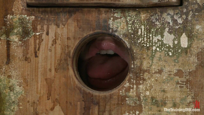 The Training of O by Kink: 4 mädchen vorsprechen tag 1