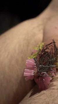 107 Needles CBT