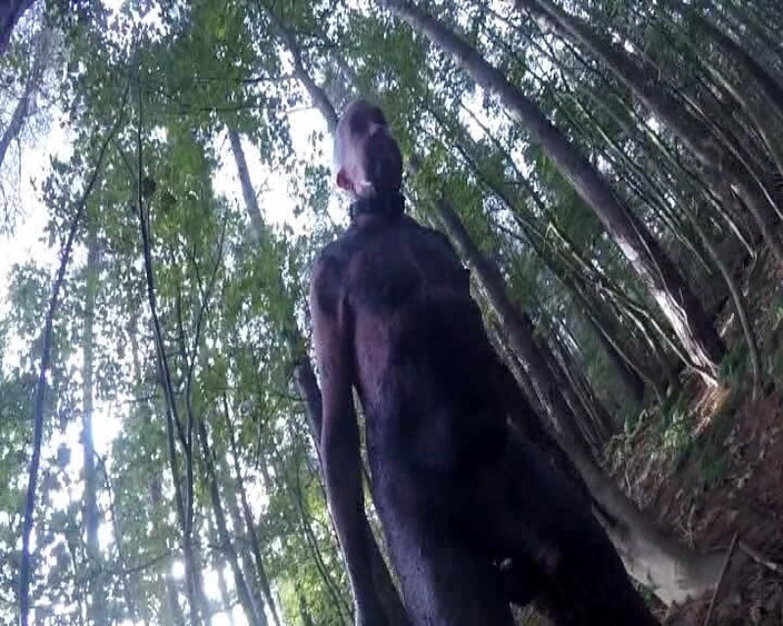 Andy: Частина 2, брудний ліс