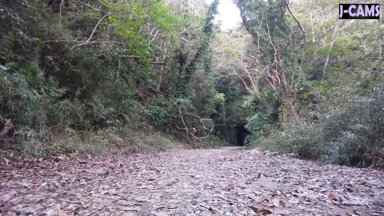 J-Cams: 쾌활한 입술을 가진 쾌활한 사무실 아가씨는 순간 에피소드2를 즐기면서 활짝 웃으며 몸을 숙입니다.