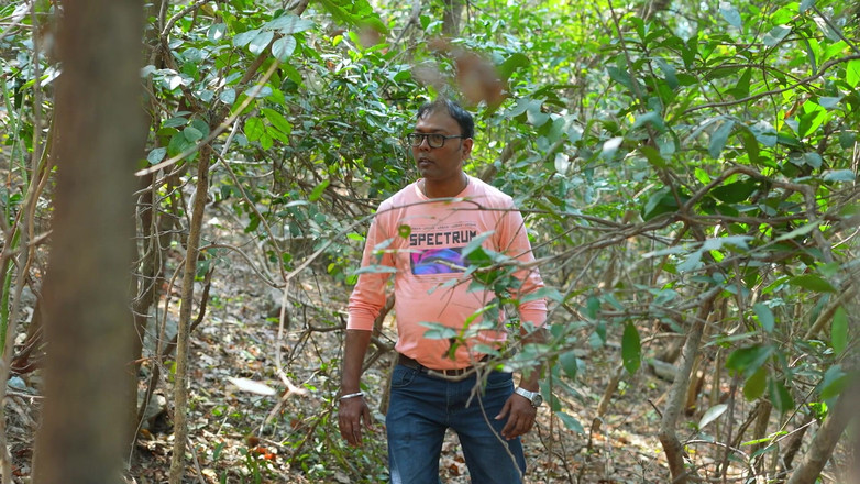 JAYESH GUPTA: O Poveste Captivantă Cu Romantism Din Junglă Se Dezlănțuie În Timp...