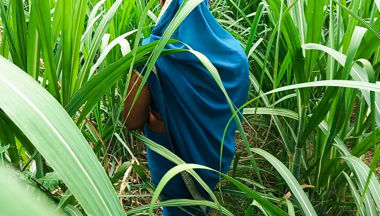 Desistepsis: Desi Bhabhi Fuck in Sugarcane Field