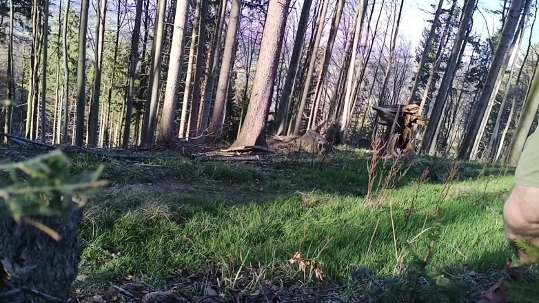 kickerscooter: Naked in Forest