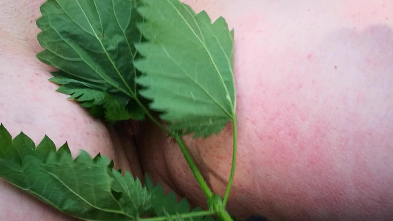 Bouncy Tits Action: Nettles, pussy, common place