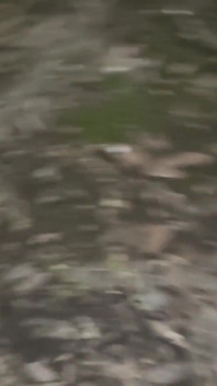 Geile en exhibitionist buitenshuis cumshot