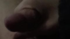Elvisz eqiraj: I Need Your Pussy