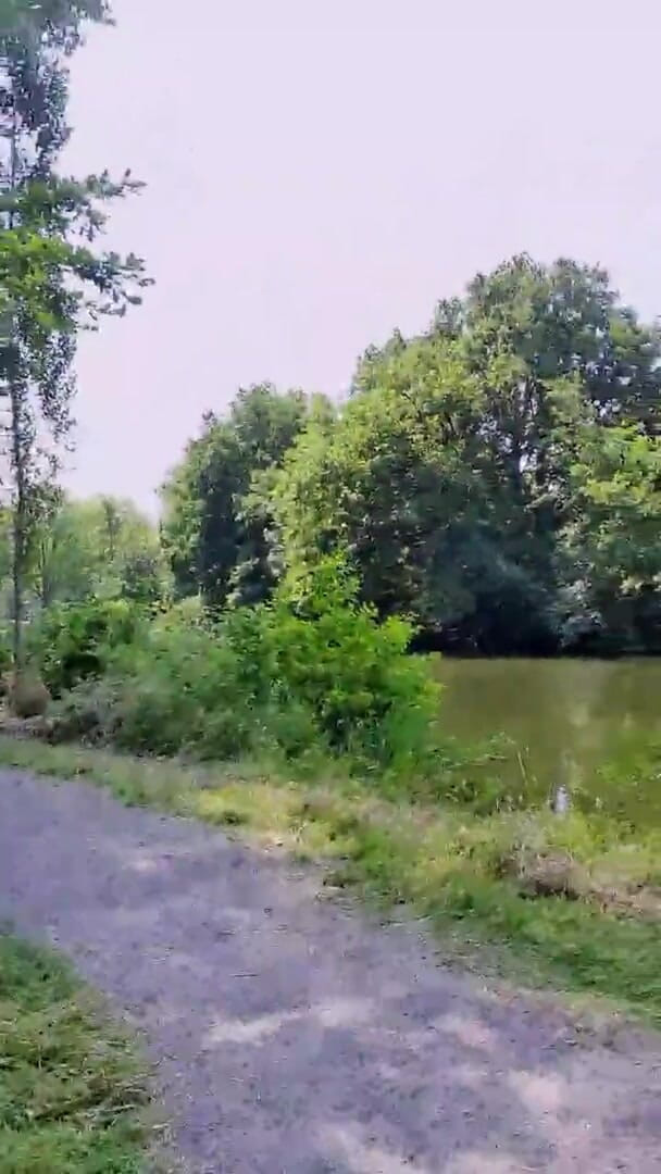 Slutboyben: Slutboyben cam4 超级性感的公共暴露狂猪