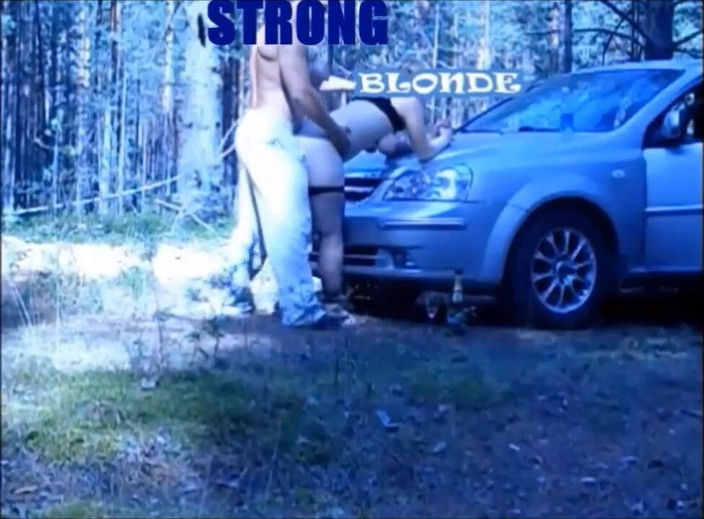 StrongSrg: Holiday in forest