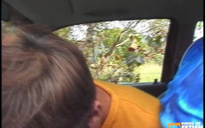 Gay Diaries: 两个饥渴的twwinks在车里吮吸他们毛茸茸的鸡巴并在外面抽插他们紧致的菊花