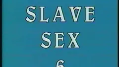 Sex sclav 006