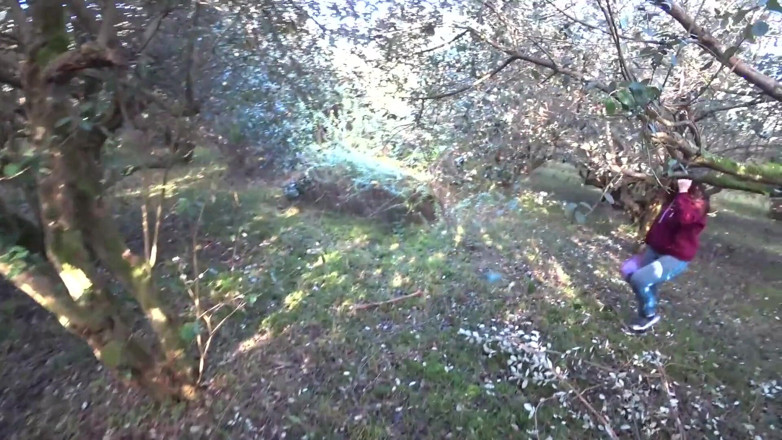 Waldemaria: Corpo bollente 18 teen viene scopata nella foresta della frutta - sesso...