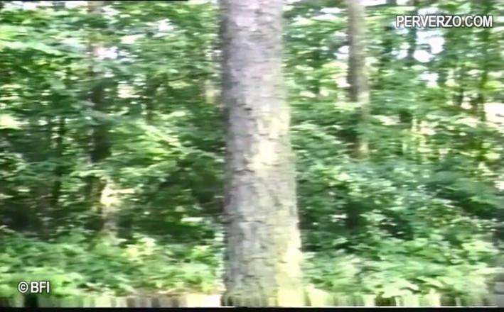 Slave Seks: Mistress Jacky and forrest slave girl