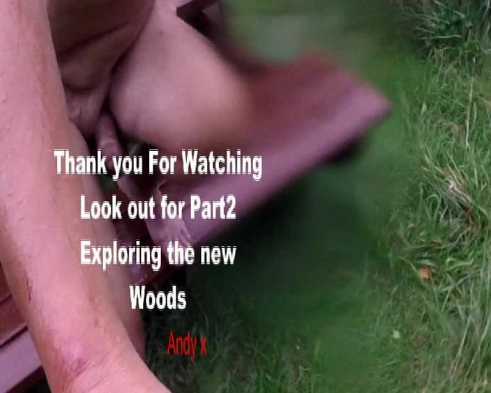 Andy: Utforska ett nytt trä