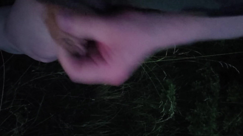 Player026: Nice Wank in the Park