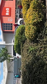 Aquecimento pronto para uma punheta