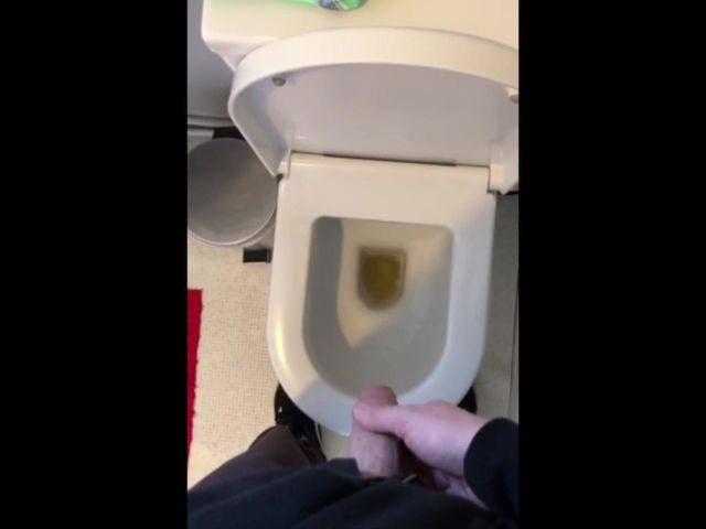 Hunter Bradley Piss Compilation (Hunter Bradley)