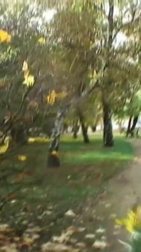 Teenenger Fucked in the Park and Squirted in Mouth
