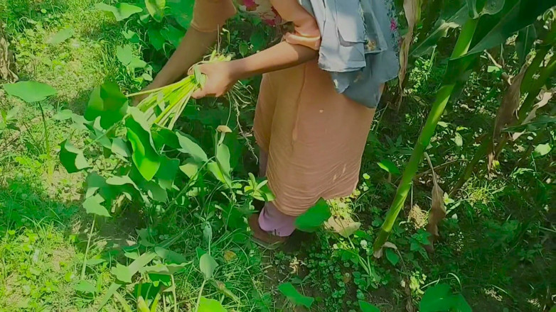 Deshi women: La jungla desi chudai de Gaon mein mangal
