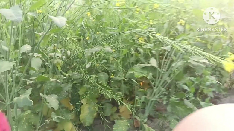 Savita5343: Část - 2. Venkovní dewar bhabhi sex zezadu