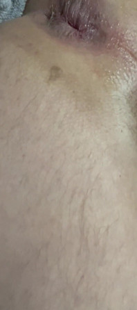 White Bussy