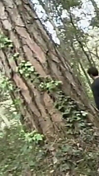 Những câu chuyện bẩn thỉu vol 2 - phim đầy đủ - video Ý được phục hồi ở chế độ HD