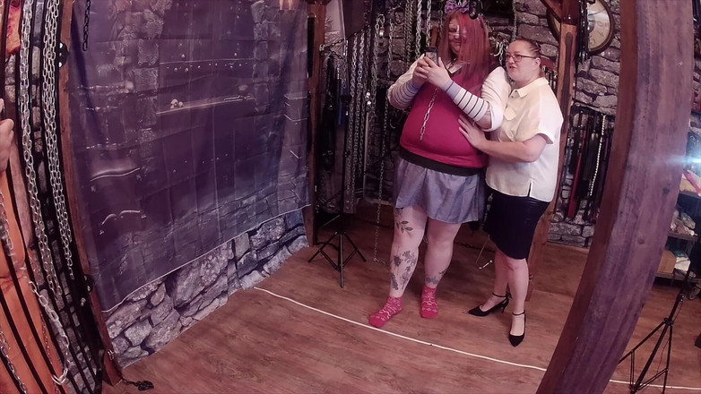 Aaexperiencesltd: 第1部分。政府，猪公鸡先生和粉丝。