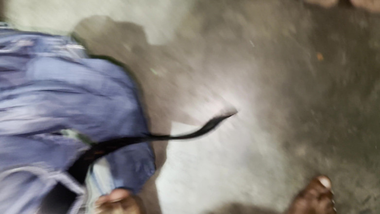 Analupdate: Awek kampung berkongkek sebelum blowjob yang bagus dan menelan mani