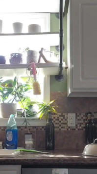 Pancut dan bersihkan dapur dengan saya
