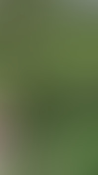Masturbating Outside in the Woods Completely Naked, Huge Cumshot