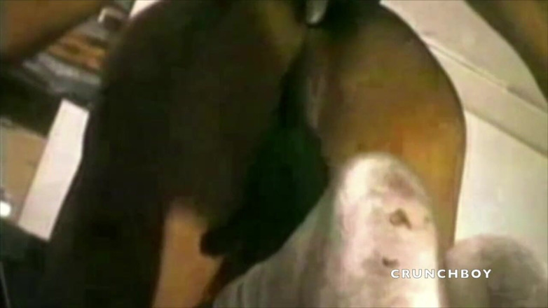 MEN BIG COCKS FUCKERS: Menghisap zakar hitam xxl dengan kondom