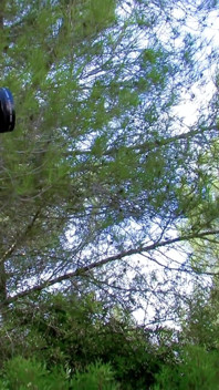 The Young French Erika Wolf Gets Fucked in the Back of the Pickup