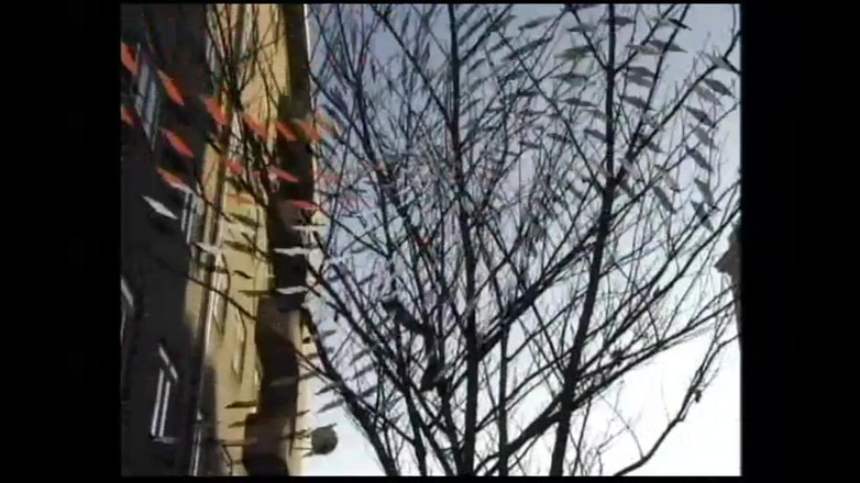 Adultwhisper: Masturbation