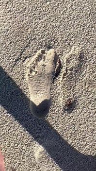 Grootte van 16 voet vergelijken met zandafdrukken op het strand