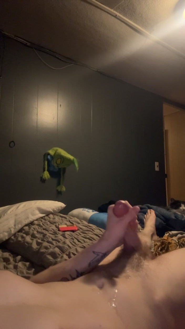 Dalton lee: L’heure des jouets