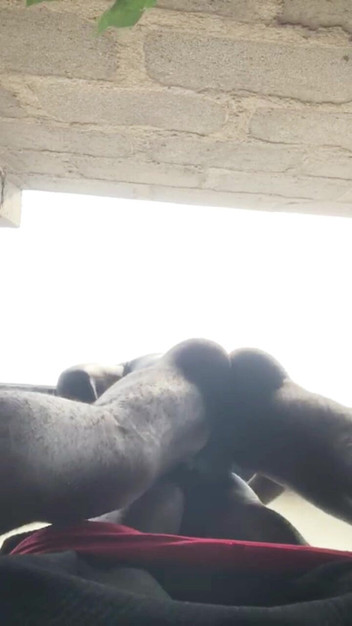 Sexylary: नीचे देखे गए कुत्ते शैली में बिना कंडोम